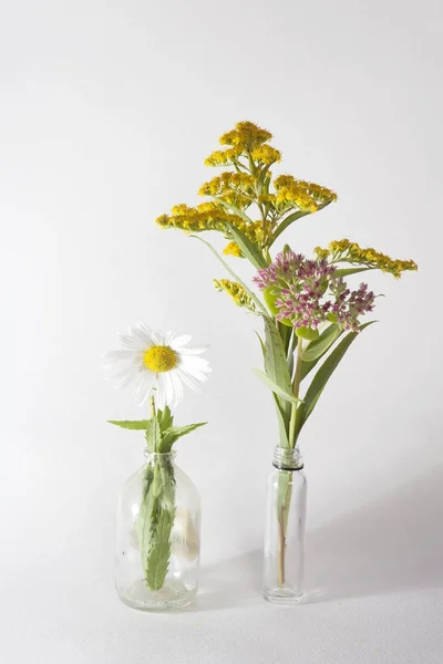 加拿大一枝黄花，黛西和景天在瓶中，在灰色的背景上 — 图库照片
