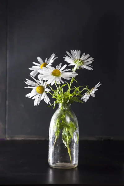 Die Gänseblümchen in einer transparenten Flasche auf schwarzem Papier Hintergrund — Stockfoto