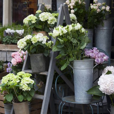 yeşil ve beyaz ortanca çiçek Dükkanı yakınındaki basamaklarda