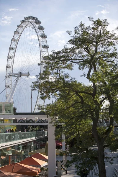 England, London, South Bank, Looking up at the pods of the London eye through the trees. — Stock Photo, Image