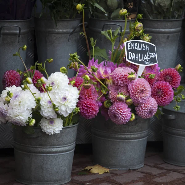 Anglický Jiřiny na prodej ve stánku květiny v blízkosti metra — Stock fotografie
