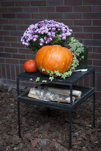 Die Dekoration des Hauseingangs zu Halloween. Kürbisse mit Heidekraut und Chrysanthemen. — Stockfoto