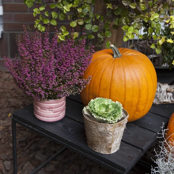 The Decoration of the entrance to the house for Halloween. Pumpkins with burgundy heather and chrysanthemums. — Stock Photo, Image
