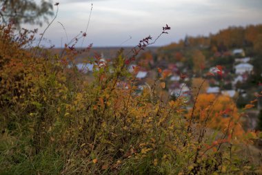 Plyos üstten görünüm iline bağlı Privolzhsky Ivanovo Oblastı District, Rusya Federasyonu
