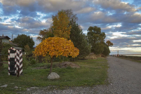 Golden maple on the embankment of the river Nero in autumn — Stock Photo, Image