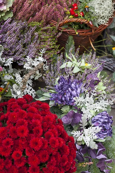 A Variedade de cores de outono em violeta para venda no mercado — Fotografia de Stock