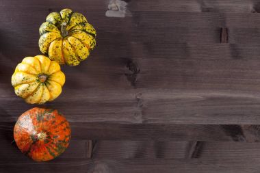 Üç bukalemun kabak koyu ahşap üzerine