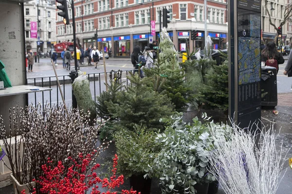 Venta de árboles de Navidad en el mercado de Navidad de Londres —  Fotos de Stock