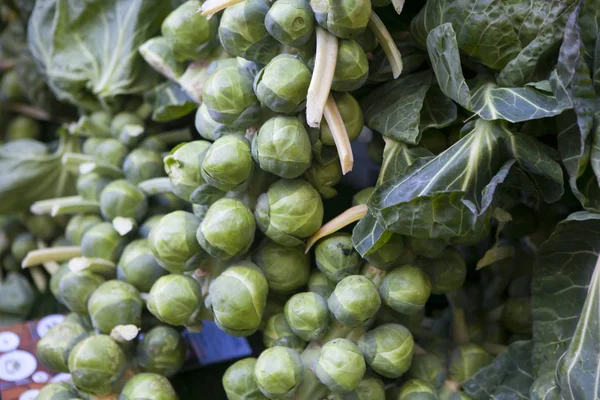 Den gröna brysselkål på marknaden för försäljning — Stockfoto