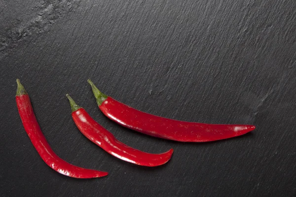 Chilli papričku na černý kámen — Stock fotografie