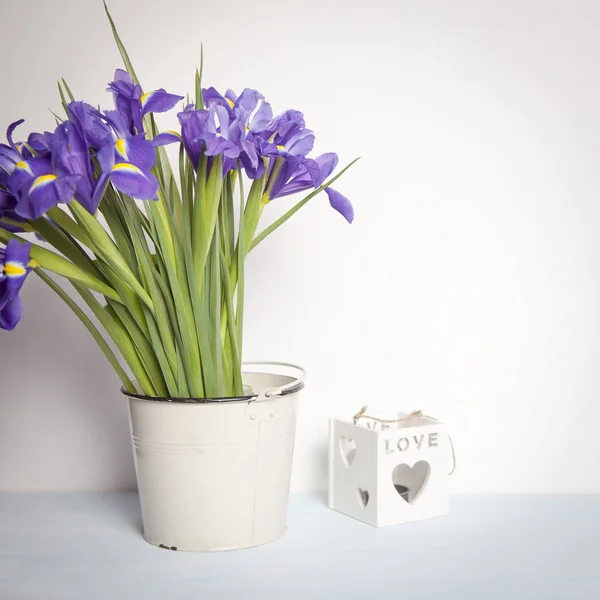 Tarjeta de felicitación para San Valentín, Día de la Mujer, Día de la Madre, Pascua! Lirios violetas xiphium en jarrón con luz de vela sobre fondo blanco — Foto de Stock