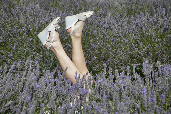 Field of lavender at Mayfield Lavender farm on the Surrey Downs The legs of a girl with a beautiful manicure stick out of the bushes — Stock Photo, Image
