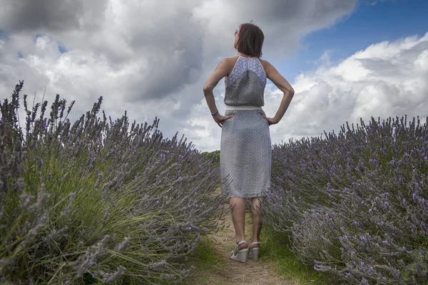 Lavendelfeld in Mayfield Lavendelfarm auf den Surrey Daunen. Mädchen in wunderschönem Kleid vom Rücken zum Feld — Stockfoto