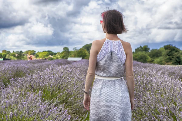 Pole lawendy w Mayfield Lavender farm na upadki Surrey. Dziewczyna w piękną sukienkę z powrotem do pola — Zdjęcie stockowe