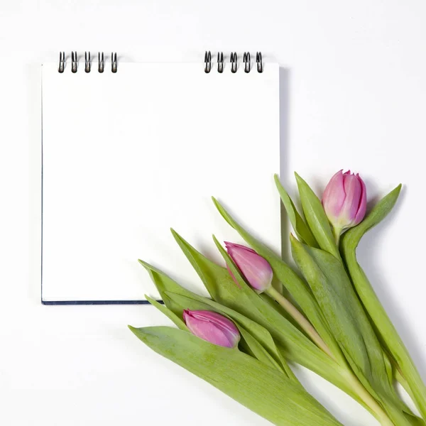 Egy fehér háttér, mint egy képeslapot Valentin-nap rózsaszín tulipánok — Stock Fotó