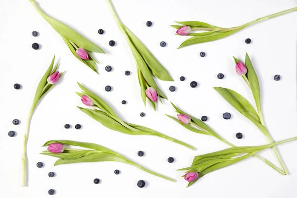 Die rosa Tulpen und Blaubeeren auf weißem Hintergrund — Stockfoto