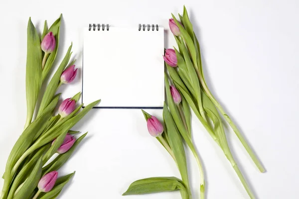 Rosa tulpaner på en vit bakgrund som ett vykort till alla hjärtans dag — Stockfoto