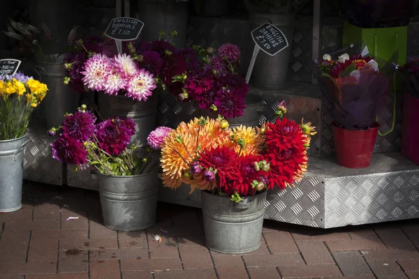 Die bordeaux, gelben, orangefarbenen Dahlien in Eimern zum Verkauf in einem Straßenblumenstand — Stockfoto