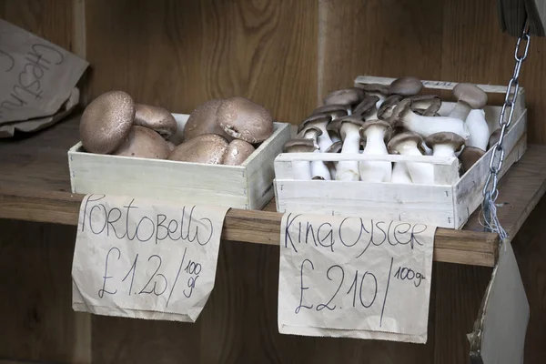 在区市场出售的盒子里的蘑菇 — 图库照片