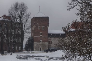 Wawel Royal Castle Wawel tepe üzerinde. Krakow Polonya