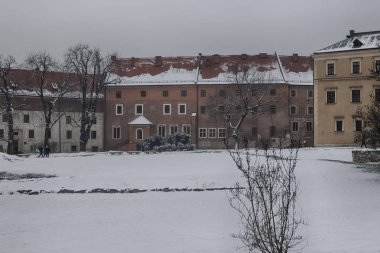 Wawel Royal Castle Wawel tepe üzerinde. Krakow Polonya