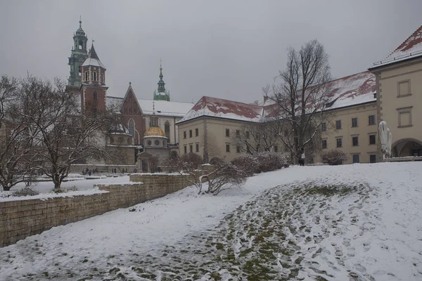 Wawel kungliga slottet på Wawel Hill. Krakow Polen — Stockfoto