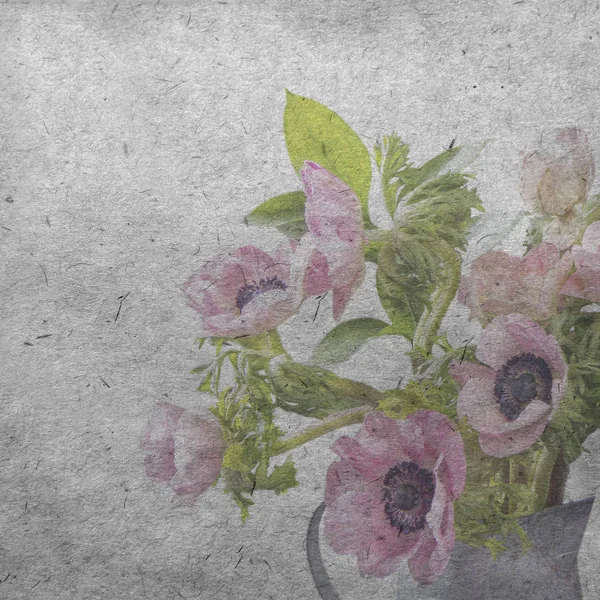 纹理的旧纸背景与淡粉红色海葵 — 图库照片