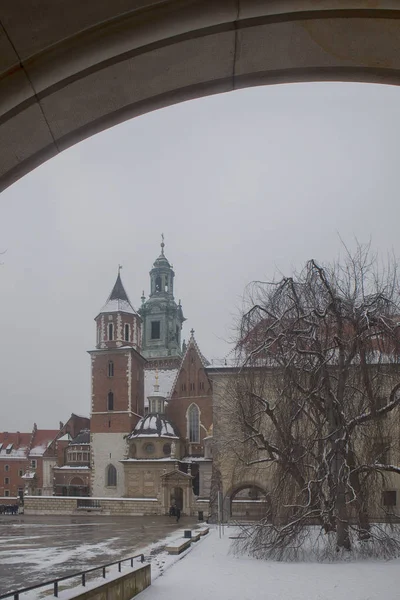 Wawel Koninklijke kasteel op de Wawel heuvel. Krakau Polen — Stockfoto