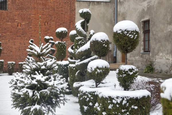 Courtyard — Stock Photo, Image