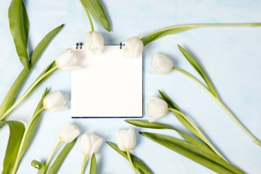 Lale mavi zemin üzerine bir kare olarak