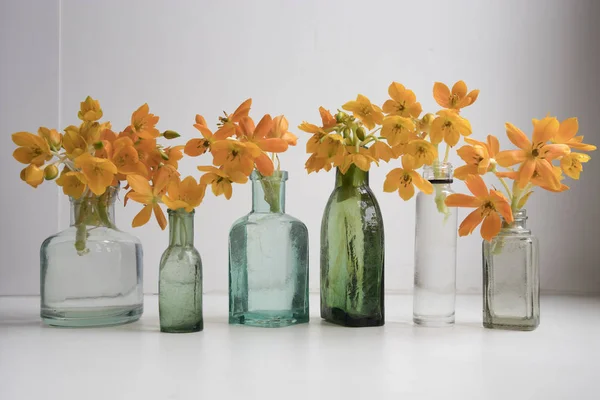 El florecimiento amarillo Ornithogalum Dubium en una botella transparente en su lugar jarrón —  Fotos de Stock