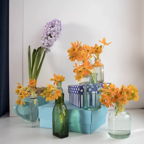 El jacinto Pálido en la taza azul y el Ornithogalum Dubium Floreciente amarillo en la botella transparente en vez de el florero — Foto de Stock