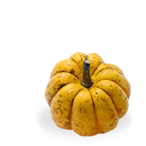 Yellow Pumpkin Isolated White Background — Stock Photo, Image