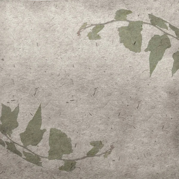 Groene klimop op oud grunge antiek papier textuur — Stockfoto