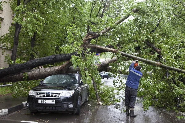 Kasırga Moskova'da ağaçları devirdi. Ağaç üzerinde pahalı bir araba düştü.