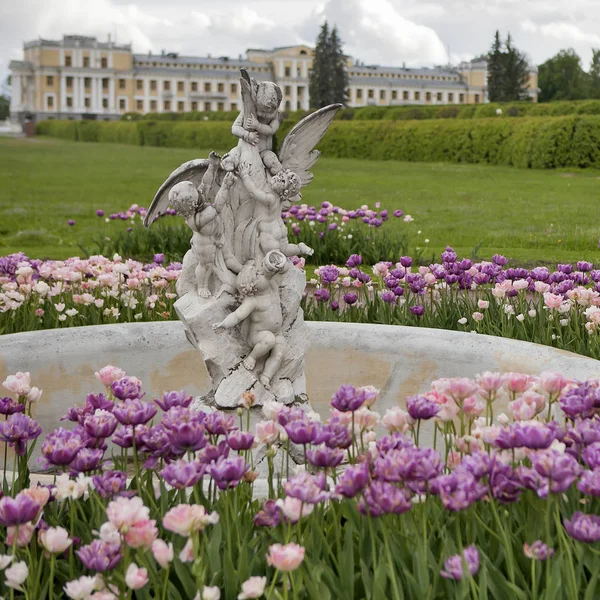 Fuente con el grupo de esculturas - Cupido con un cisne en la Gran Corte — Foto de Stock