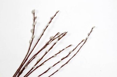 Paskalya için ahşap bir masa Willow dallarda