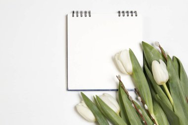 bir söğüt ile Beyaz Lale bir çerçeve beyaz not defterinde