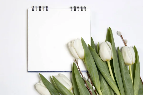 Le bloc-notes blanc dans un cadre de tulipes blanches avec un saule — Photo