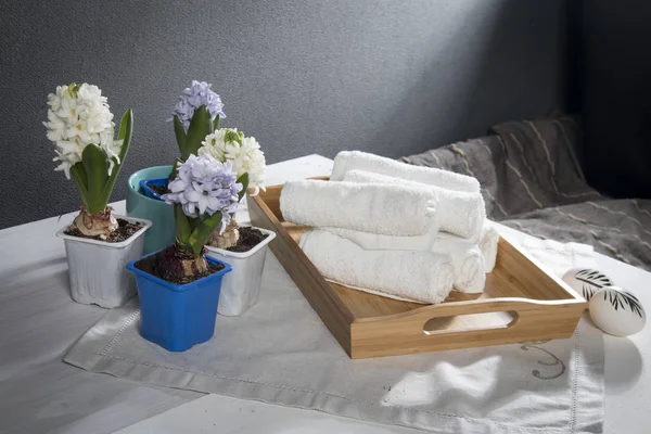Facket med handdukar, hyacinter i krukor i badrummet av spa salongen — Stockfoto