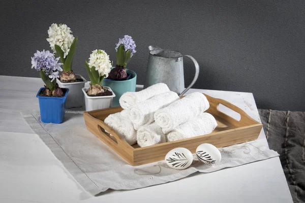 Facket med handdukar, hyacinter i krukor i badrummet av spa salongen — Stockfoto