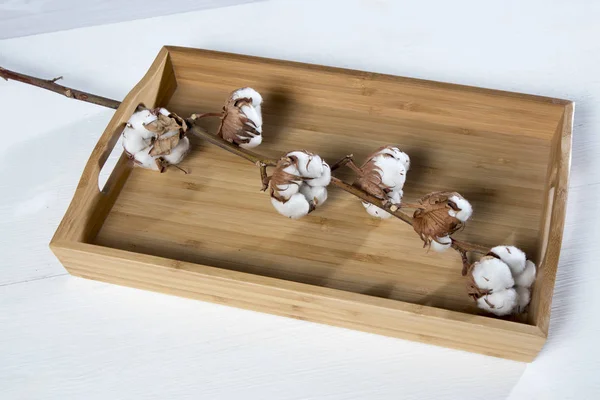 Dienblad met een katoen tak op een witte houten tafel — Stockfoto