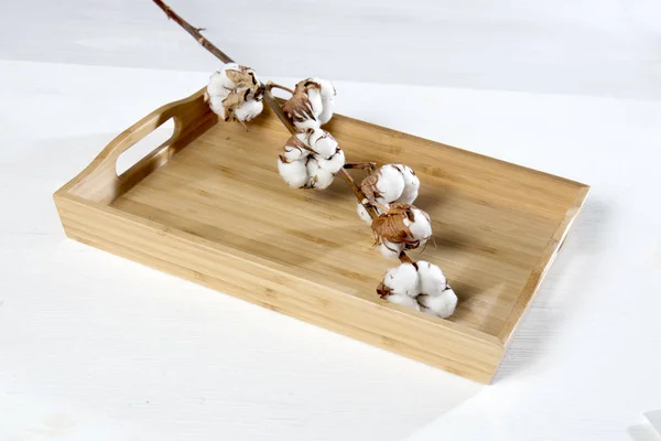 Taca z odgałęzieniem bawełny na biały drewniany stół — Zdjęcie stockowe