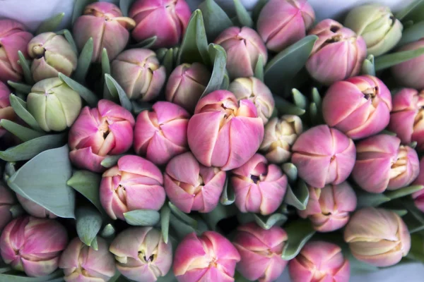 As lembranças em Bloemenmarkt - flutuante mercado de flores em Singel Canal. Amesterdão. Países Baixos — Fotografia de Stock