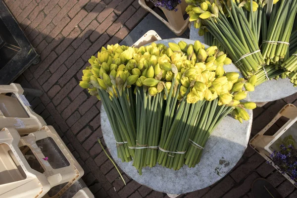 Narcisos en el mercado de flores en Amsterdam en venta — Foto de Stock