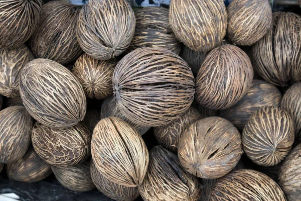 Fondo de pila de cocos marrones peludos —  Fotos de Stock
