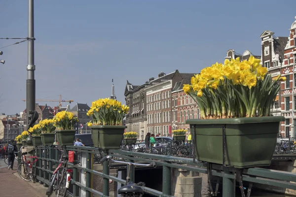 Het jaarlijkse festival van de lente flowersflowing in de straten van Amsterdam — Stockfoto