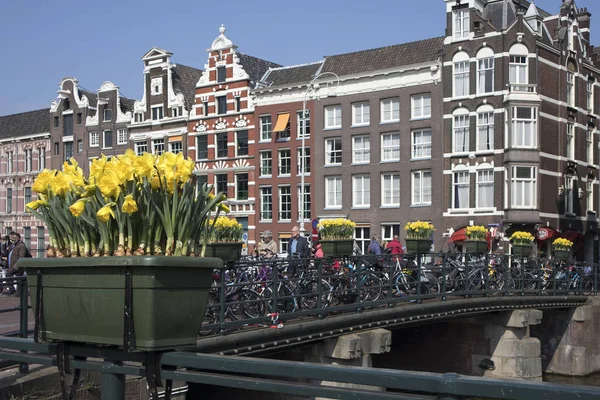 Il festival annuale dei fiori primaverili che scorre nelle strade di Amsterdam — Foto Stock