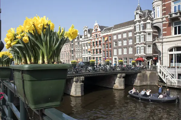 Vuotuinen festivaali kevään kukkiavirtaa kaduilla Amsterdamin — kuvapankkivalokuva