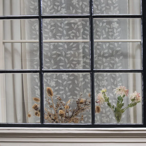 La ventana Tradicional holandesa con el tul y los ramos secos en el alféizar de la ventana — Foto de Stock